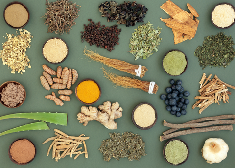 Adaptogens Are Everywhere; Here's Why They're Getting So Much Attention